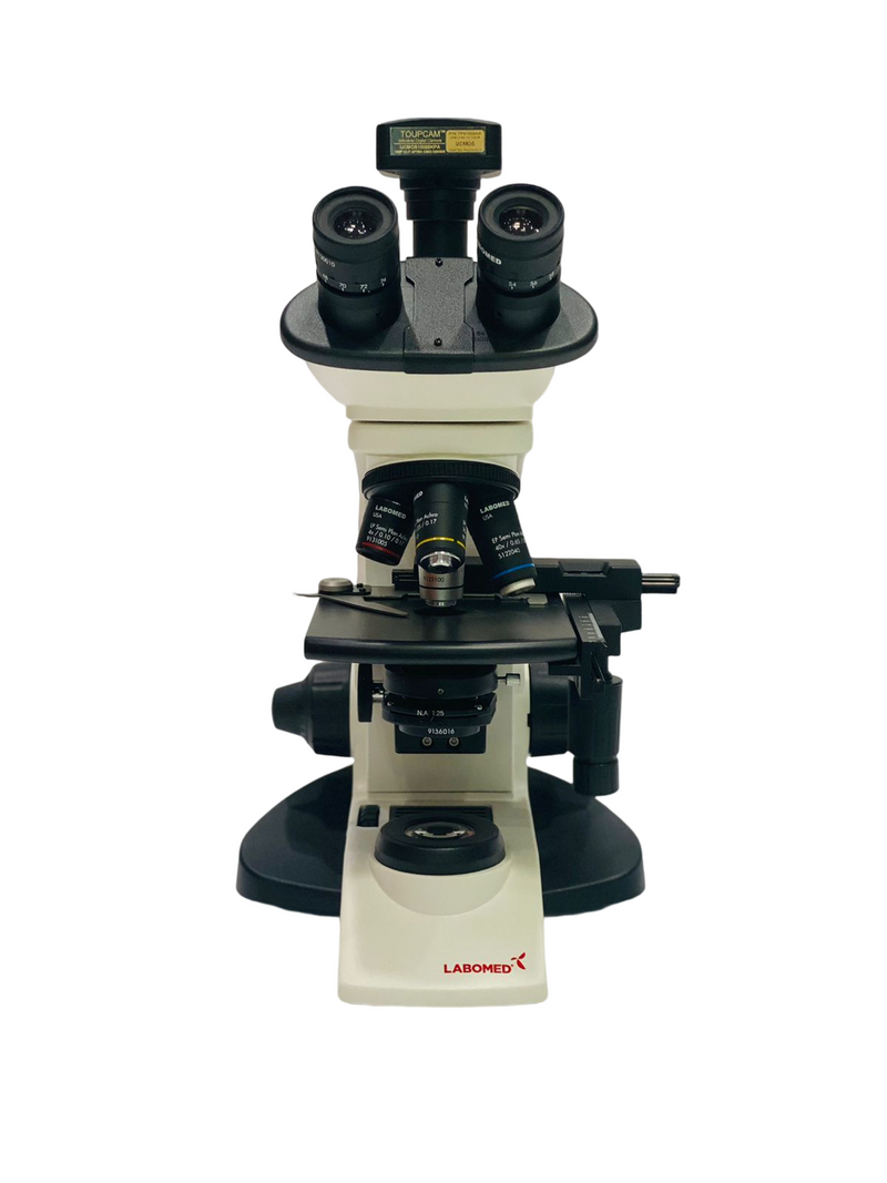 Microscopio Digital Cxl Led Con Camara 10Mp Labomed ID-1944537