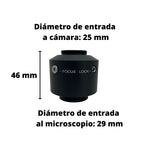 Vista 5