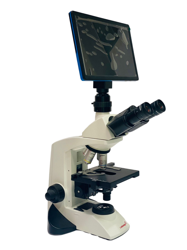 Microscopio Lx300 C/ Camara Tablet 11 Pulgadas Labomed