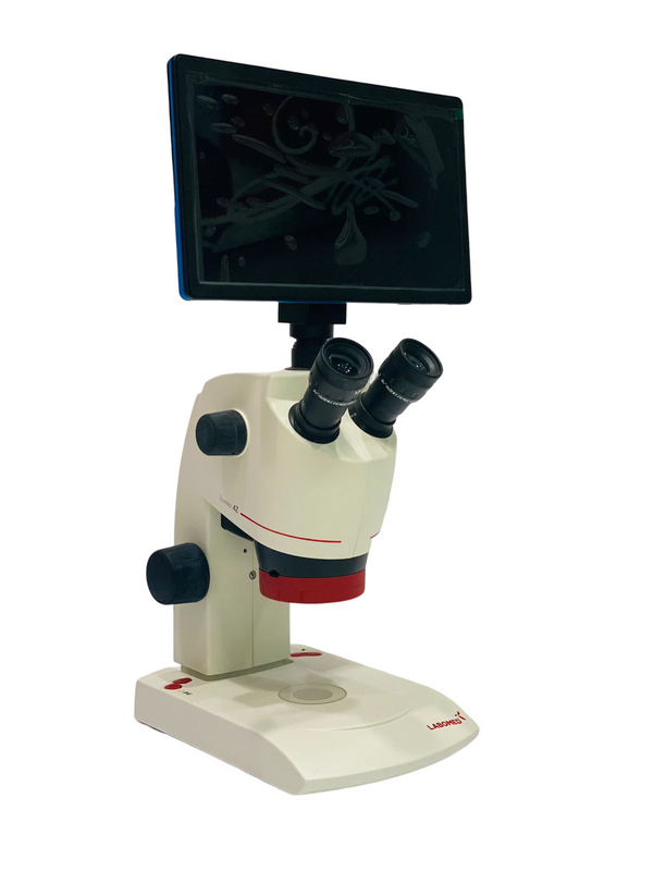 Microscopio Estereo Digital 4Z C/Tablet 11 Pulgadas Labomed ID-1944212